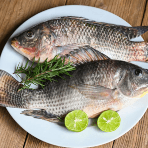 TiLAPIA fISH