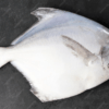 White Pomfret Fish