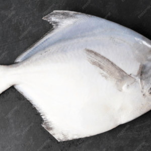 White Pomfret Fish